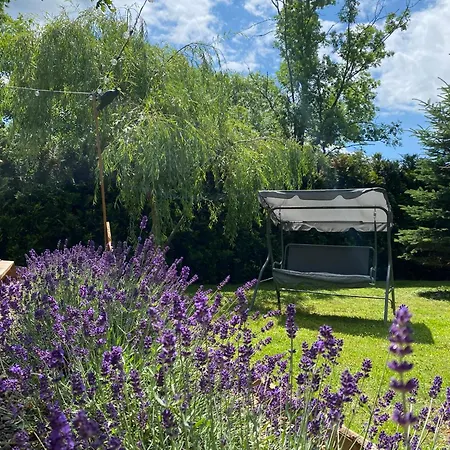 Alpesi faház Physio House Sokolik